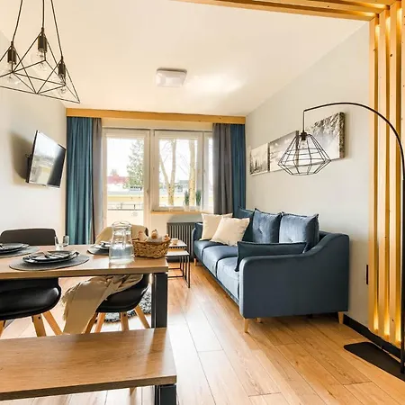 Alicja, Scisle Centrum, Orkana 3 アパート ザコパネ