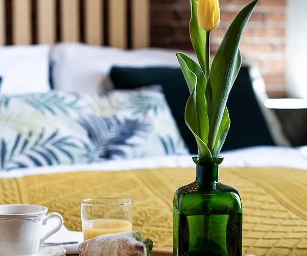 Alicja, ścisłe Centrum, Orkana 3 Apartament *