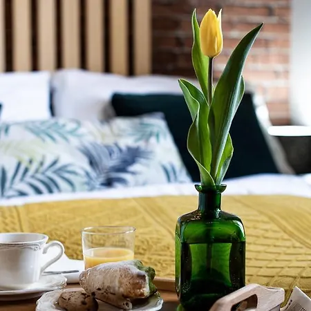 Alicja, Scisle Centrum, Orkana 3 דירה *